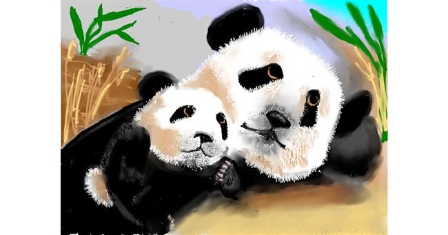 Drawing of Panda by SAM AKA MARGARET 🙄