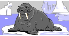 Drawing of Walrus by Swimmer