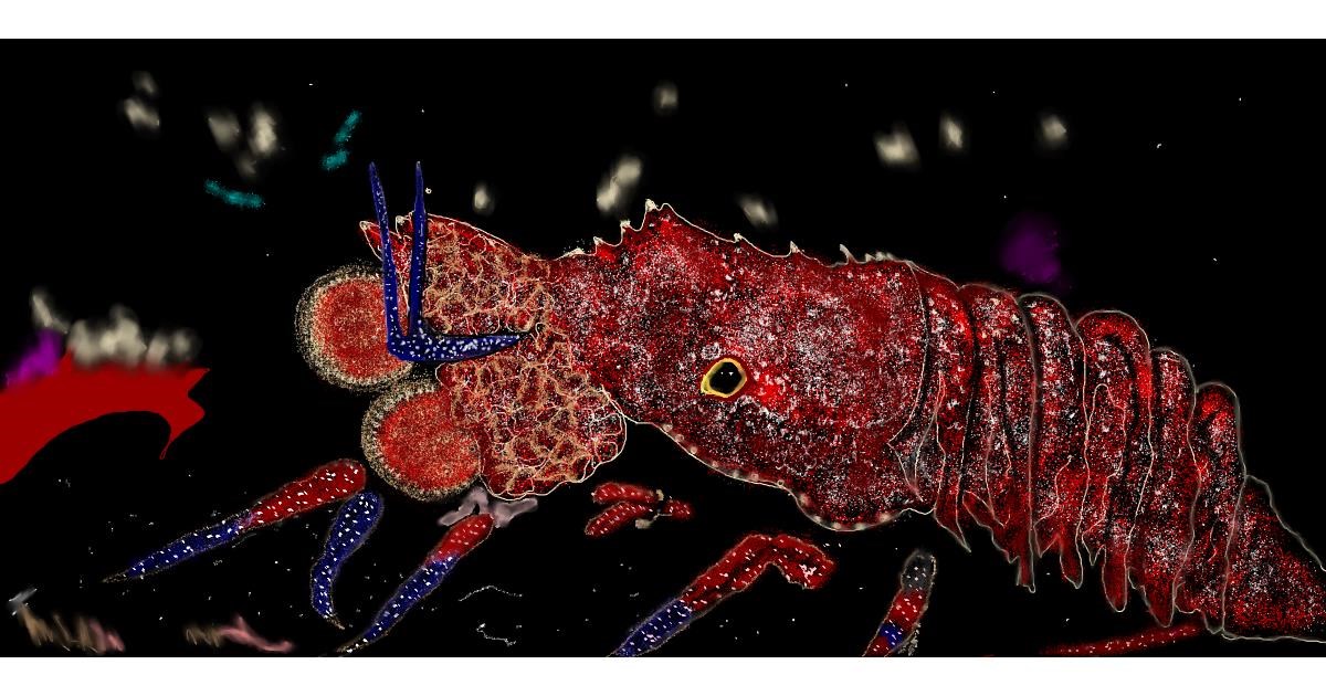 Full Size Drawing