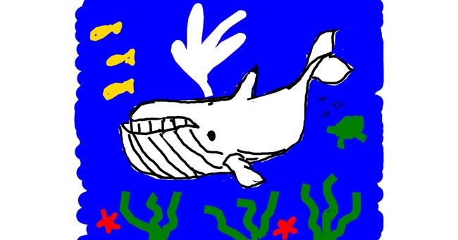 Drawing of Whale by Kamie
