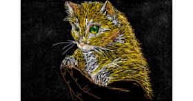 Drawing of Kitten by Mad
