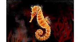 Drawing of Seahorse by DaVinky