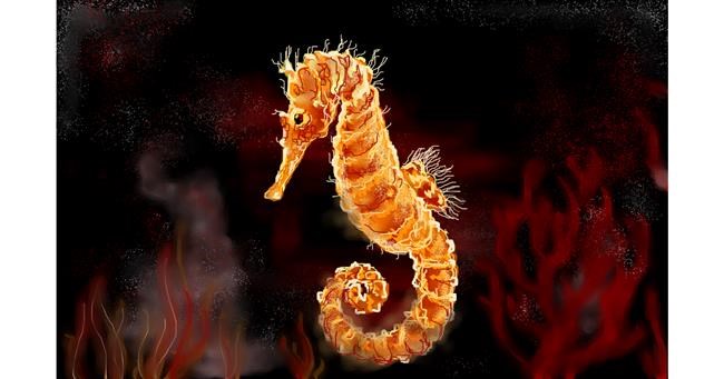 Drawing of Seahorse by DaVinky