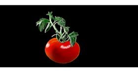 Drawing of Tomato by Chaching