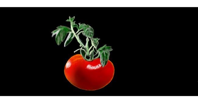 Drawing of Tomato by Chaching