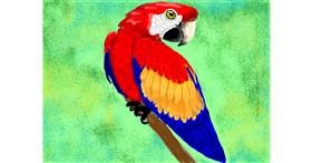 Drawing of Parrot by SAM AKA MARGARET 🙄