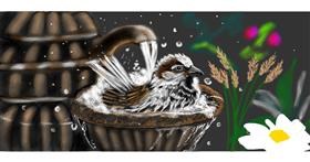 Vrabac - autor: Çhåching