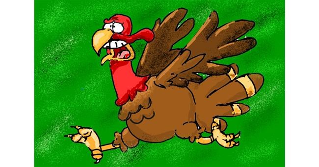 Drawing of Turkey by ThasMe13