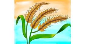 Drawing of Wheat by Freny