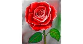 Drawing of Rose by GreyhoundMama