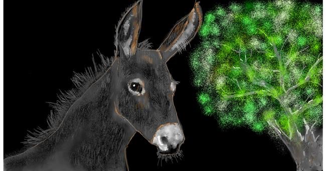 Drawing of Donkey by Eclat de Lune