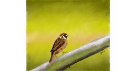 Drawing of Sparrow by Sylv