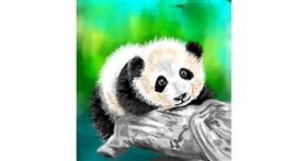 Drawing of Panda by ⋆su⋆vinci彡