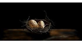 Drawing of Nest by Chaching