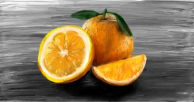 Drawing of Orange by Mia