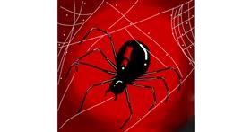 Drawing of Spider by Hunter