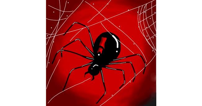 Drawing of Spider by Hunter