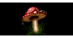 Gljiva - autor: Annie