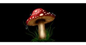 Drawing of Mushroom by Annie