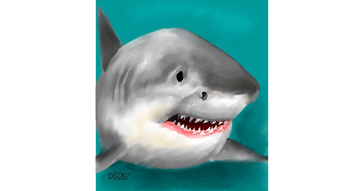 Full Size Drawing