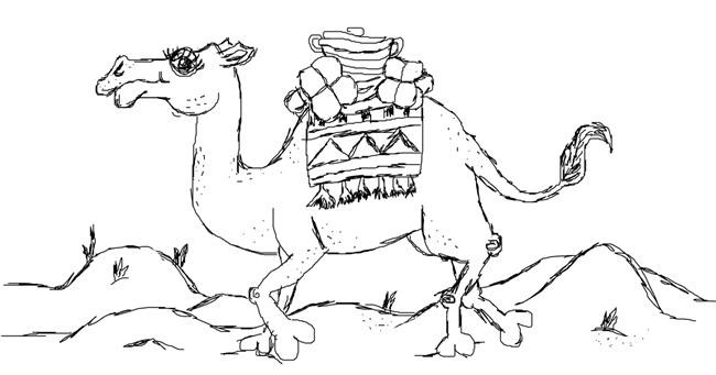 Drawing of Camel by Rui