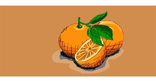 Drawing of Orange by Cabrito