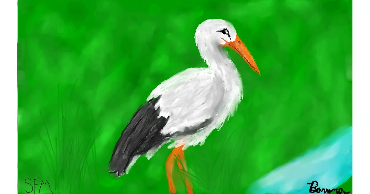 Drawing of Stork by Banana