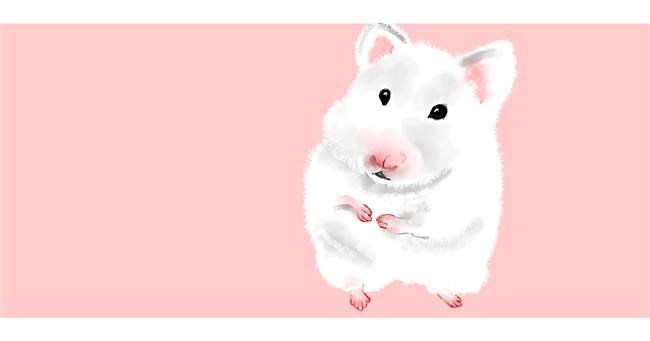 Drawing of Hamster by Kim