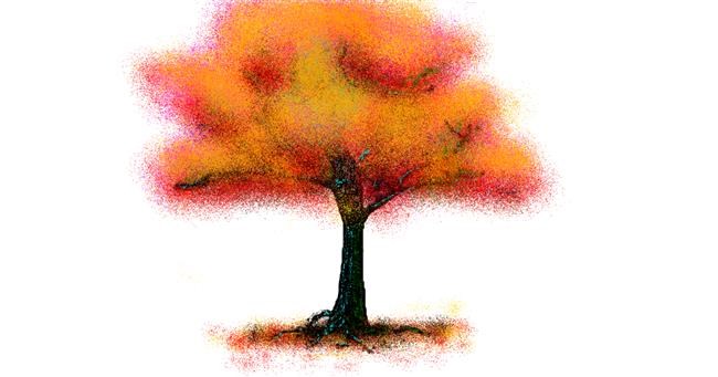 Drawing of Tree by ogie