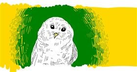 Drawing of Owl by Tami