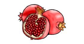 Drawing of Pomegranate by Luna
