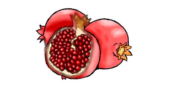 Drawing of Pomegranate by Luna