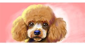 Drawing of Poodle by Ghost