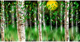 Drawing of Forest by Eclat de Lune