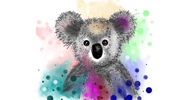 Drawing of Koala by Cookie