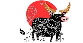 Drawing of Bull by Lollipop🍭