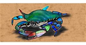 Drawing of Crab by Kim
