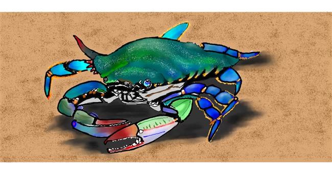 Drawing of Crab by Kim