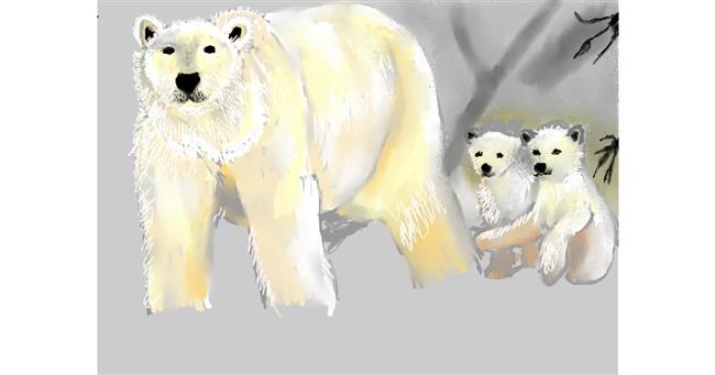 Drawing of Polar Bear by SAM AKA MARGARET 🙄