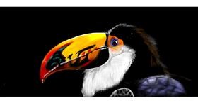 Tukan - autor: Chaching