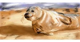 Drawing of Seal by Effulgent Emerald