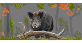 Drawing of Wild boar by shiNIN
