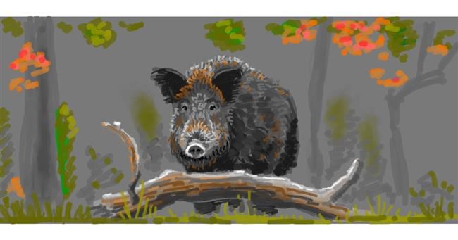 Drawing of Wild boar by shiNIN