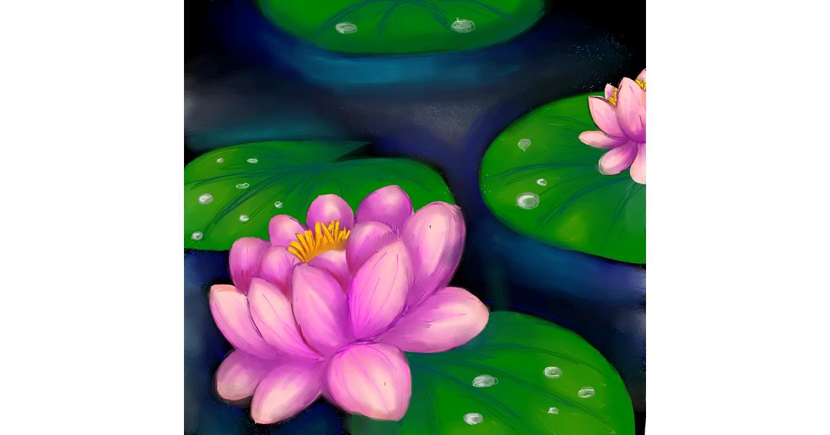 Drawing of Water lily by Bishakha