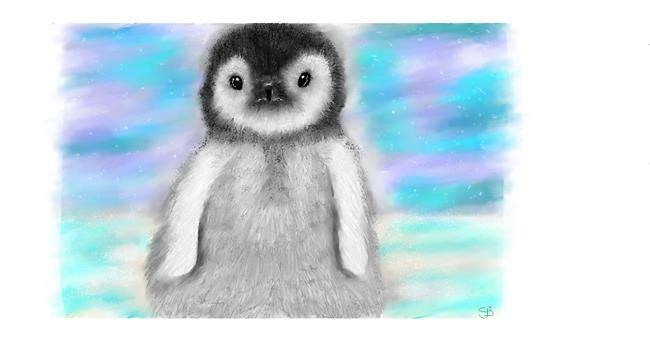 Drawing of Penguin by Sara