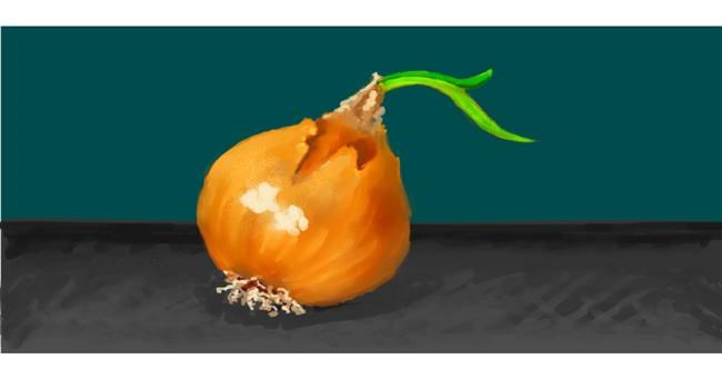 Drawing of Onion by shiNIN