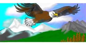 Drawing of Eagle by Debidolittle