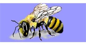 Drawing of Bee by Kim