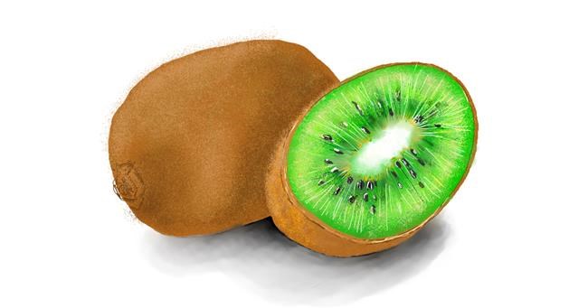 Drawing of Kiwi fruit by Audrey
