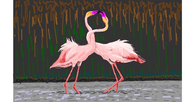 Drawing of Flamingo by Coyote